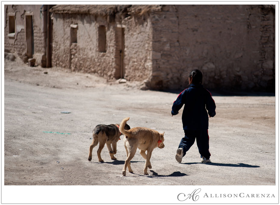 bolivia16