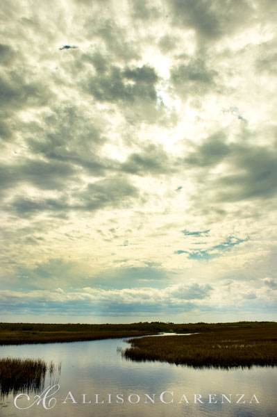 everglades2